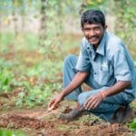 Zioła w mieście – jak je sadzić i pielęgnować?