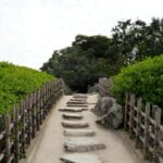 Rośliny na rabatę przy płocie: co posadzić, by szybko zakryć ogrodzenie Piękna, gęsto obsadzona rabata ogrodowa wzdłuż ogrodzenia